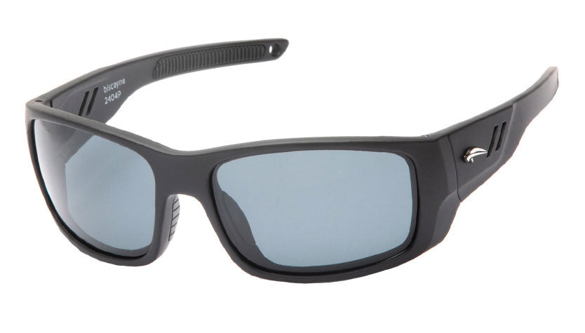 Biscayne Polarized